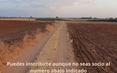 Quedan cerrada las inscripciones para la “Ruta de Senderismo: Utrera – Los Molares – Utrera”