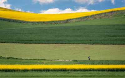 Fallo del jurado en el II Concurso Fotográfico “El Camino de Santiago en la Vía Augusta”